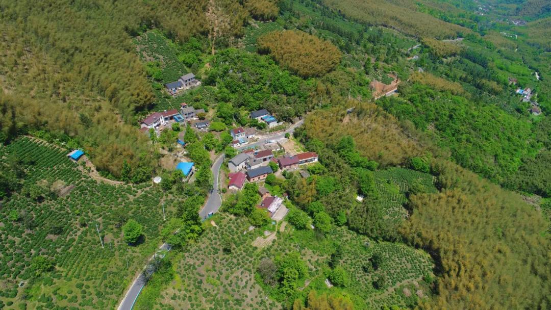 红色“吕”行，畅游溪口！