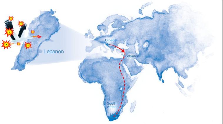18年感人的爱情故事视频,18年的爱情故事