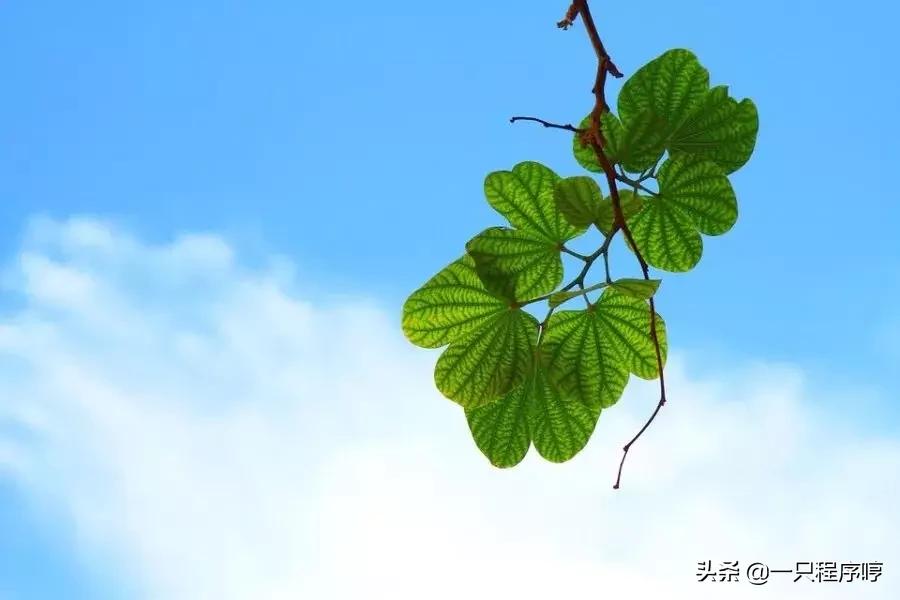 如何打造一款游戏,如何打造一款游戏ip