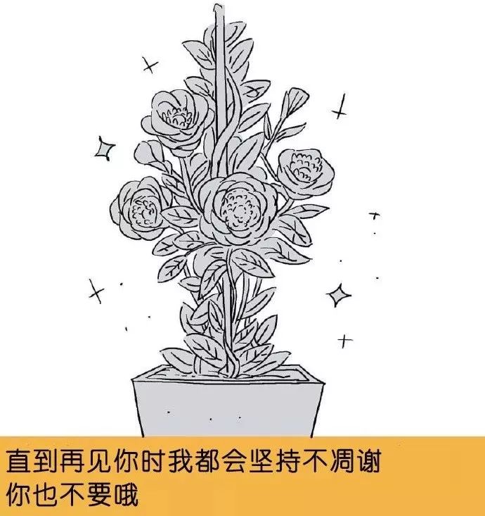 一张画看哭很多人,这张画又戳中了网友泪点