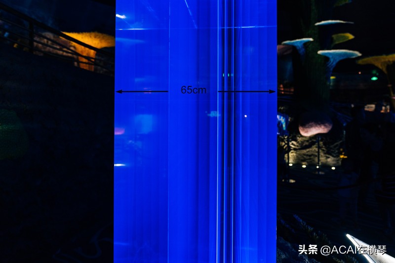 吃喝玩乐in珠海,珠海吃喝玩乐一体的地方