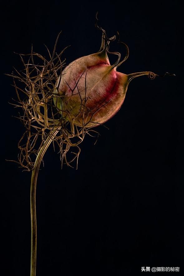 不用出门拍出好看视频,不出门就能拍出好看的写真