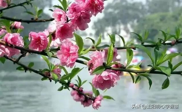 云对雨雪对风声律启蒙完整,声律启蒙晚照晴空翻译