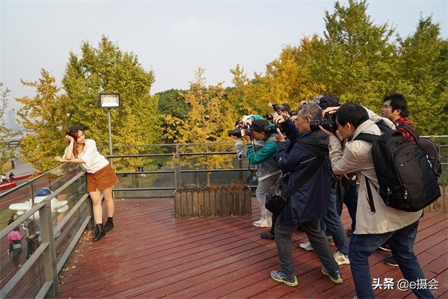 世博公园银杏林摄影照片,上海世博公园银杏最佳摄影机位