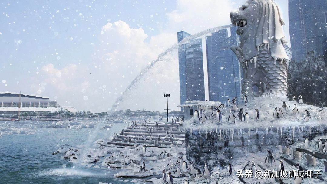 新加坡冻成狗,新加坡狂风暴雨来袭