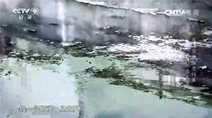 人间悲剧背后的真相让人痛心,你看过哪些虐心的案子