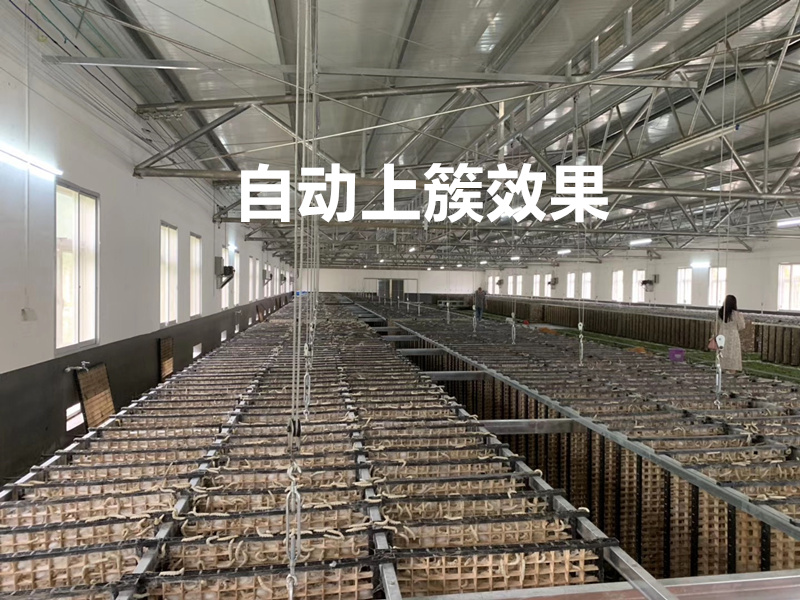 养蚕用的石灰是生的还是熟的,养蚕不用石灰