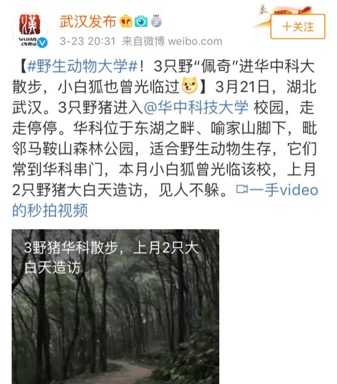 为什么选择华中农业大学,为什么选择华中科技大学