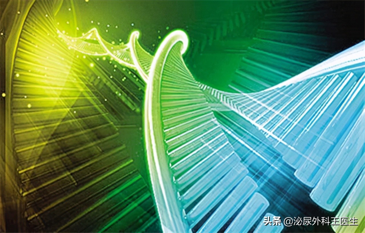 张伯礼建议吃叶酸每天吃多少,张伯礼四十岁后补充叶酸