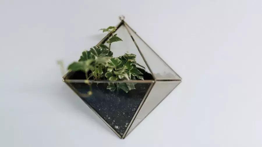 大学生的血泪控诉:不要再叫我搬寝室了