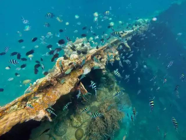 有个岛国，比美马代，比海南便宜，机票500起！