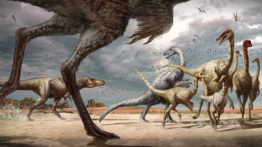 几种可以瞬间秒杀霸王龙的恐龙,各种各样的恐龙和霸王龙