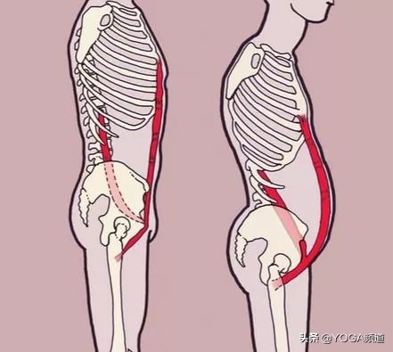 练瑜伽怎么改善一弯腰就拱背,瑜伽如何纠正骨盆旋转和侧移