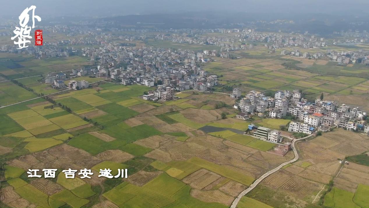 江西客家菜炒凉薯,江西特色凉薯
