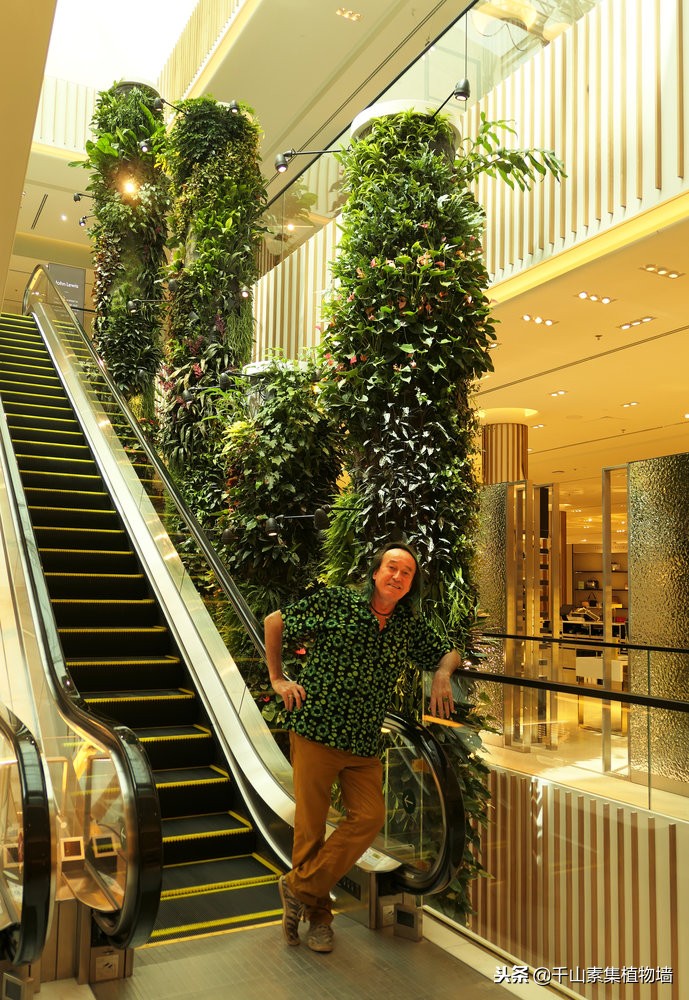 美丽的景观商店效果图,大型仿真植物商业街景观造景装饰