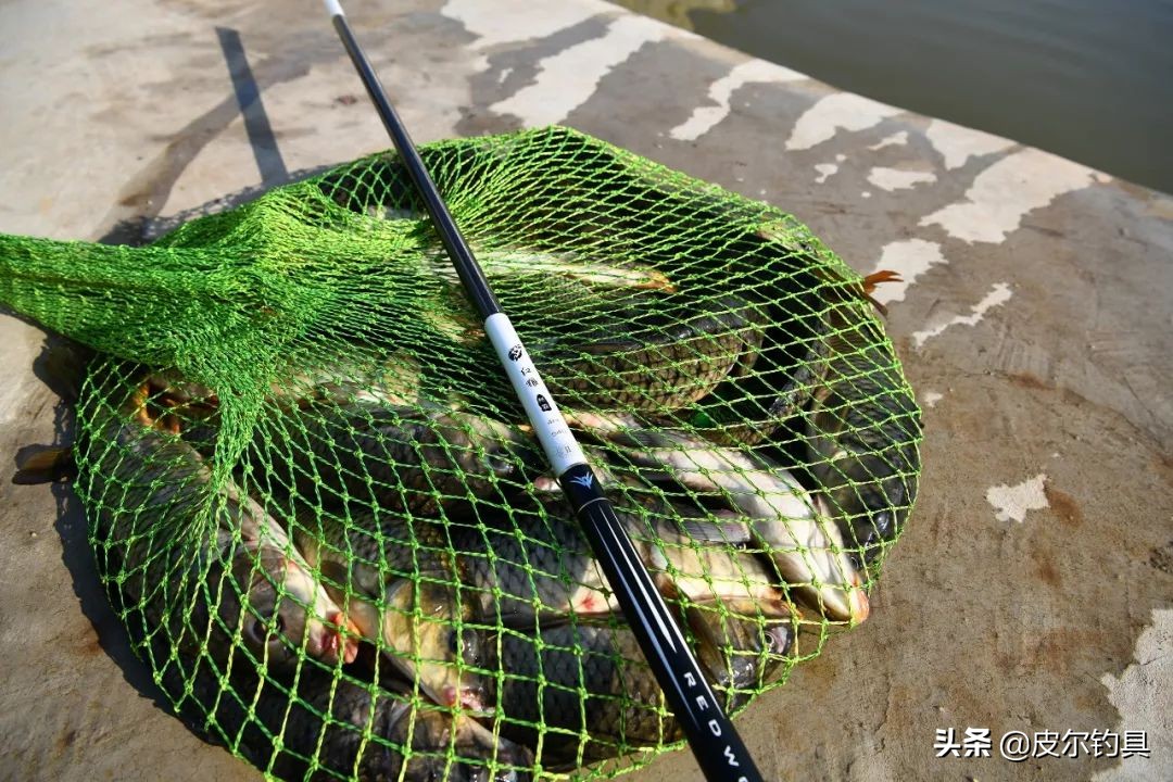 钓友公认最好7.2米鲢鳙鱼竿性价比,轻量8.1鲢鳙鱼竿推荐