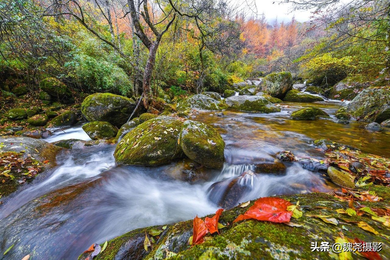 留坝秦岭之夜,留坝秦岭森林公园