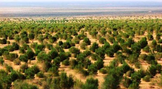 马云登上福布斯的时候多大,马云何时登上福布斯