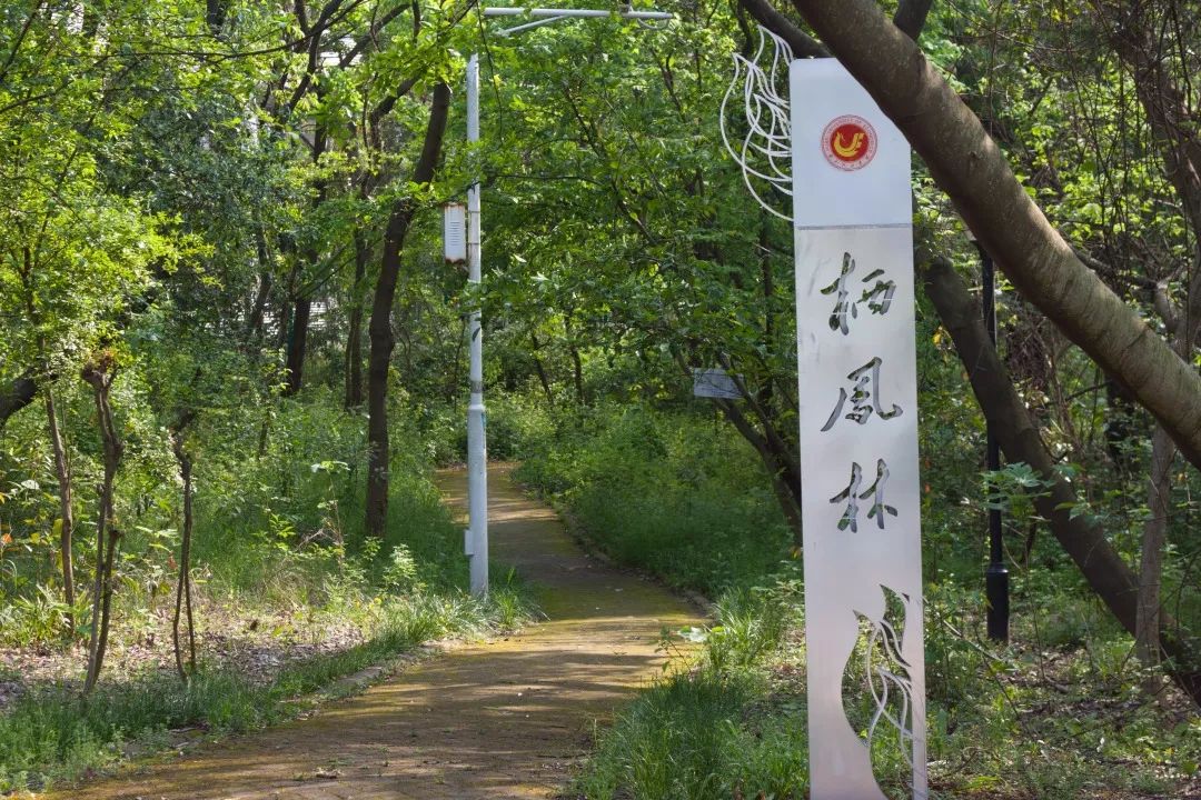 今天我以湖经为荣,明天湖经以我为傲