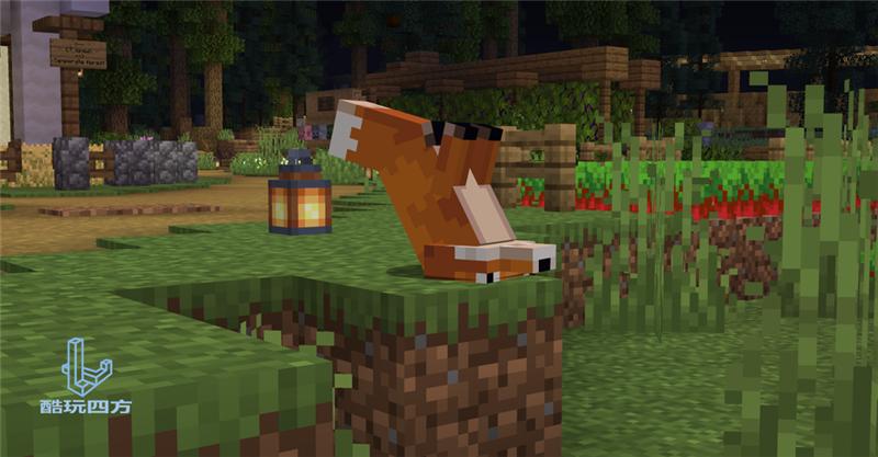 我的世界红色湖泊,我的世界不小心发现心形湖泊