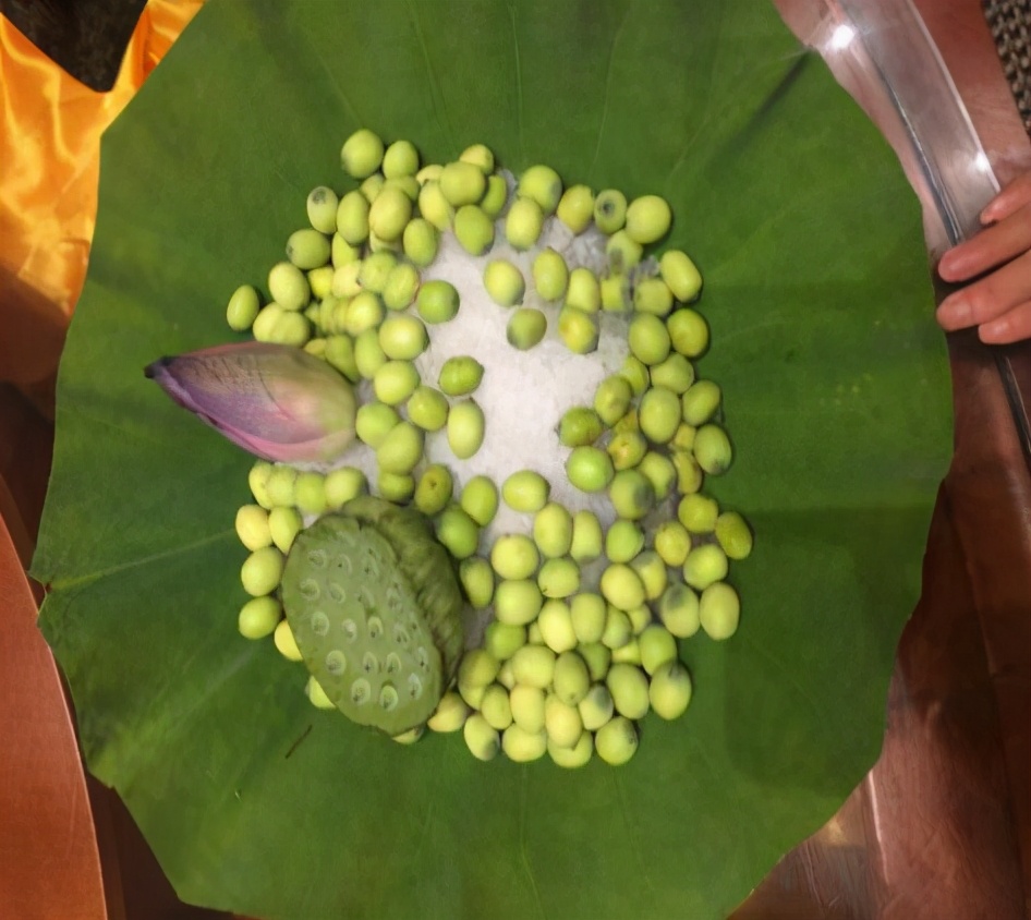 野趣大自然亲子农场攻略一日游,周末驾到