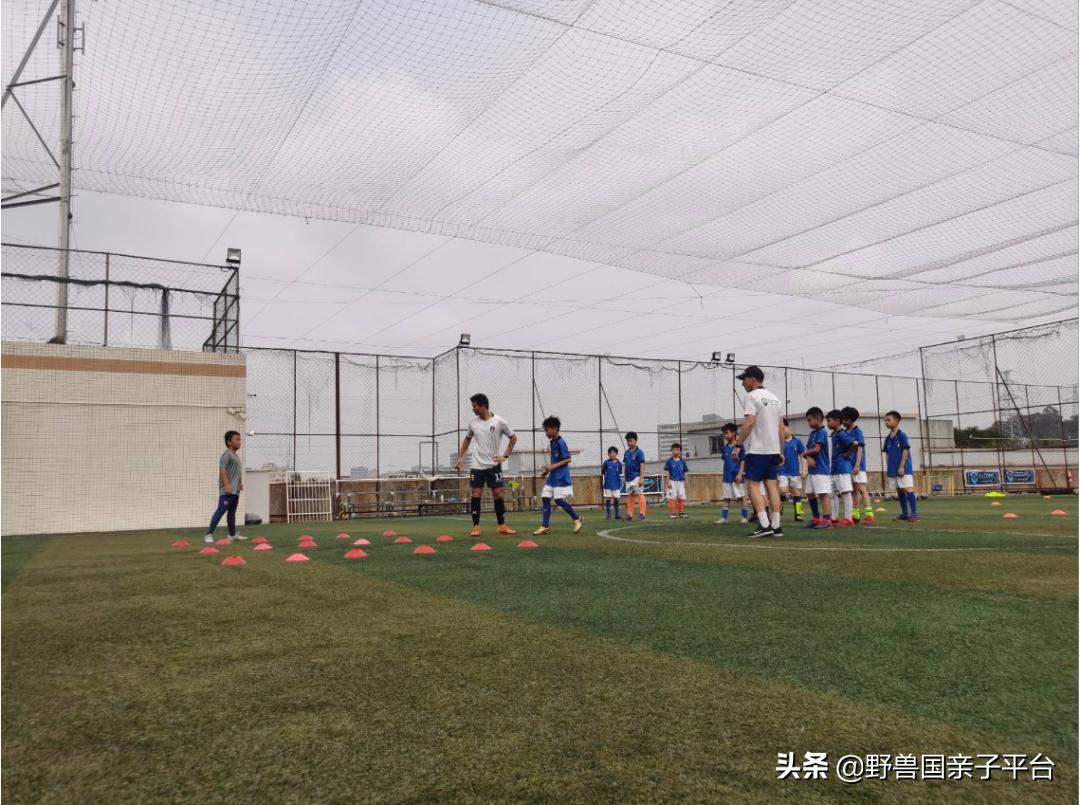 东莞儿童篮球培训机构哪个好,东莞儿童健身球哪家好