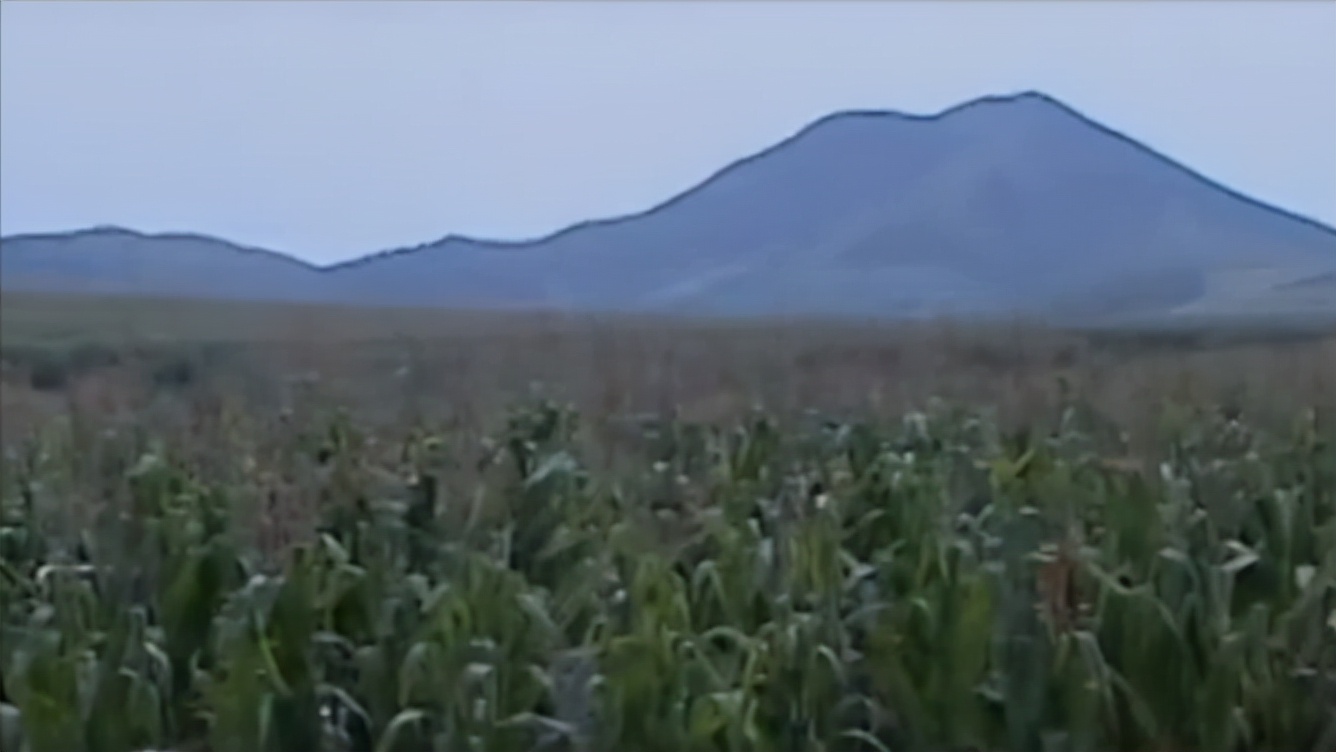 毒蝎进村的真实事件,毒蝎进村的真实原因