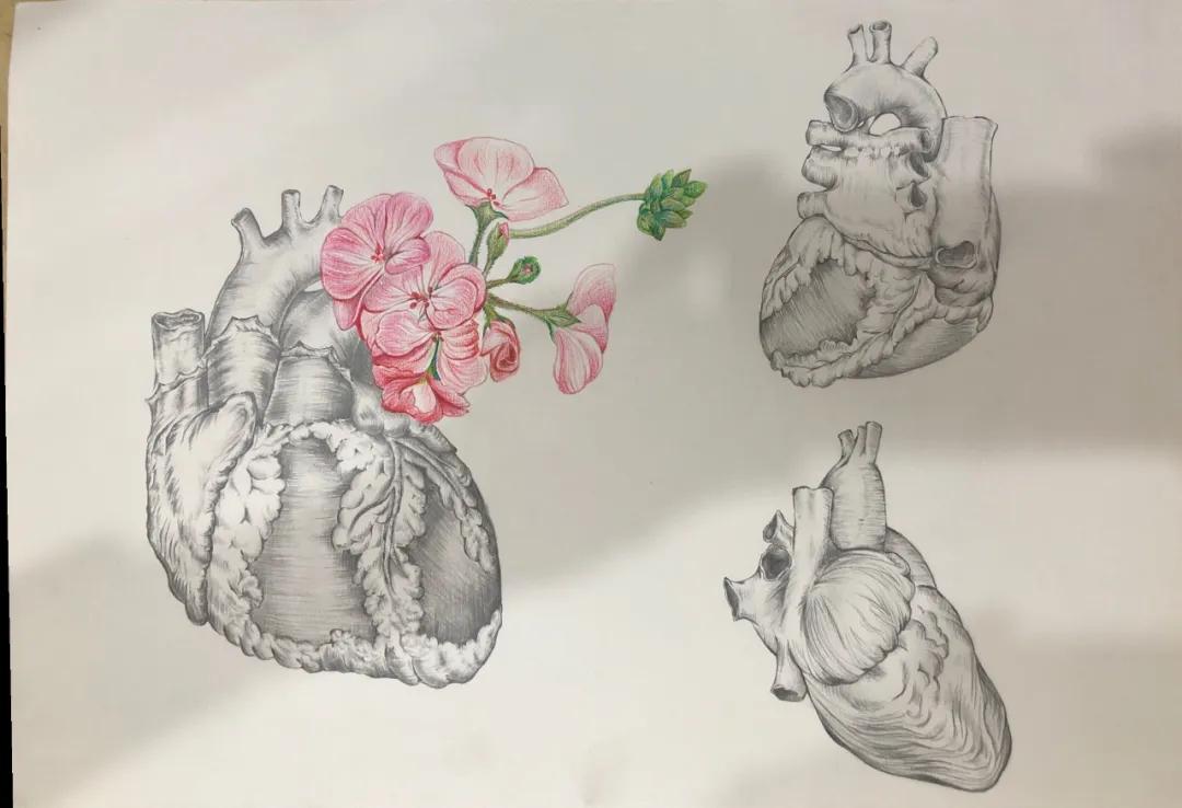 生命的故事绘本电子版,生命的故事图片