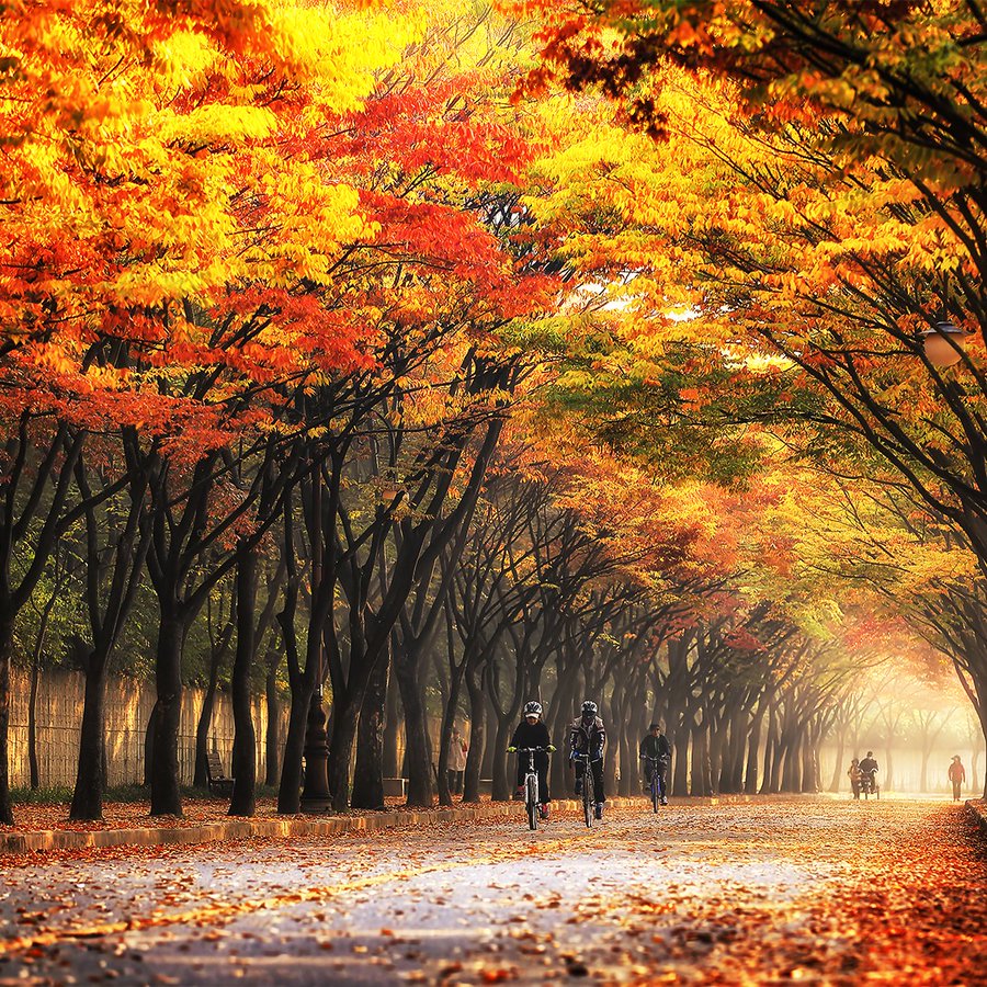 印度是什么社会制度,印度是五常吗