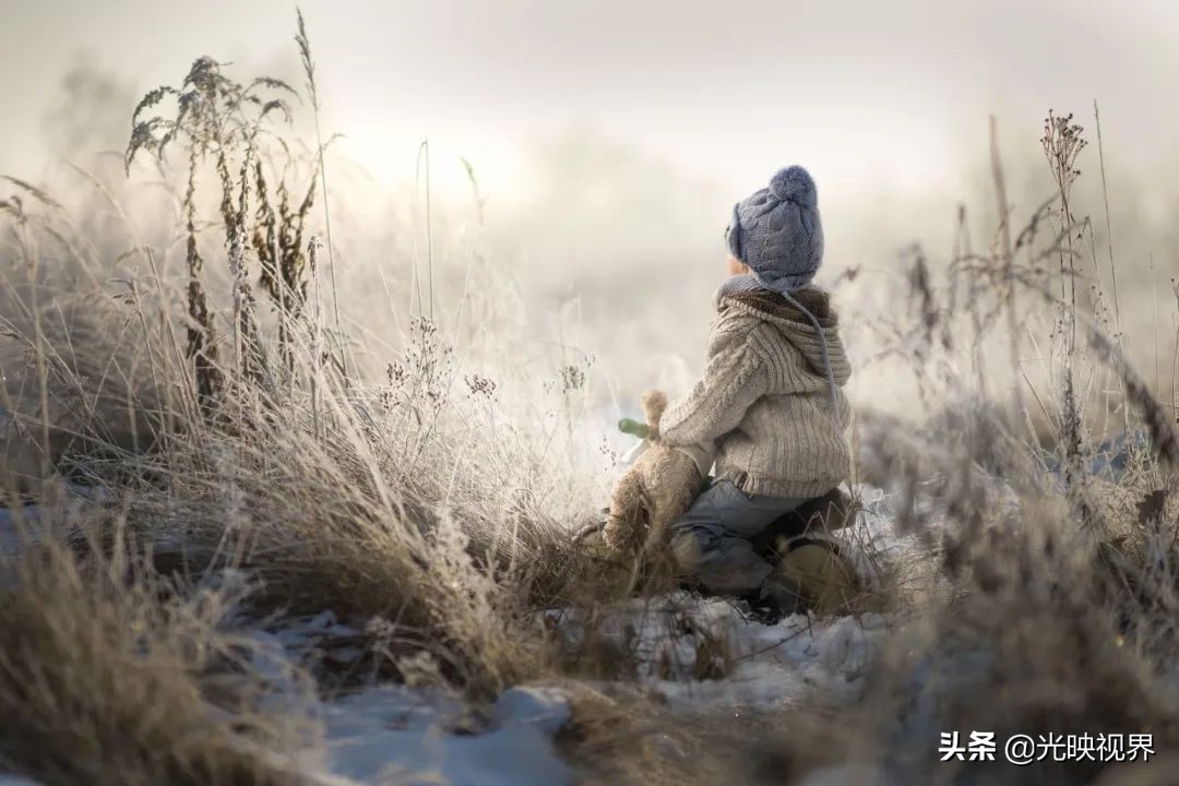 2020年IPA国际摄影奖获奖作品(专业组年度摄影师)