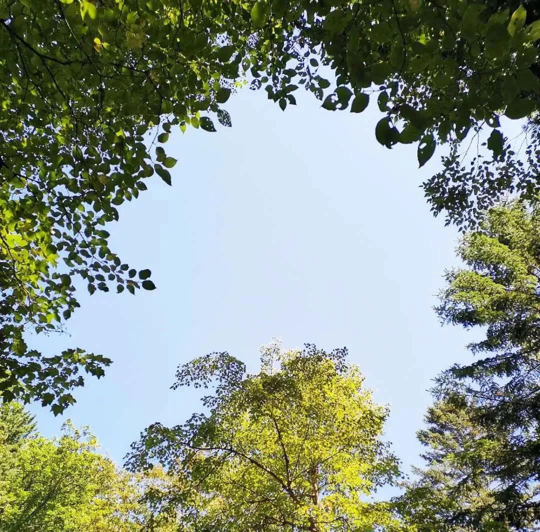 甲友心声——与甲癌的七年共生