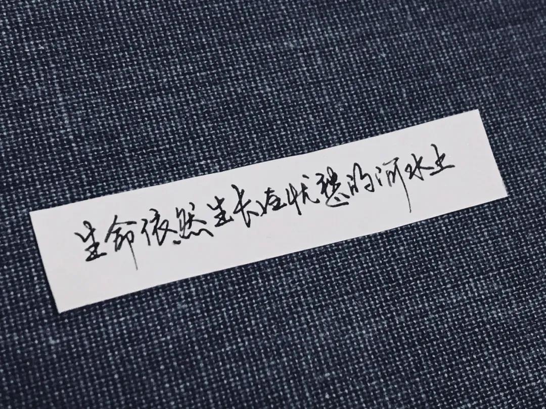 钢笔推荐学生钢笔测评,自带笔锋的钢笔测评