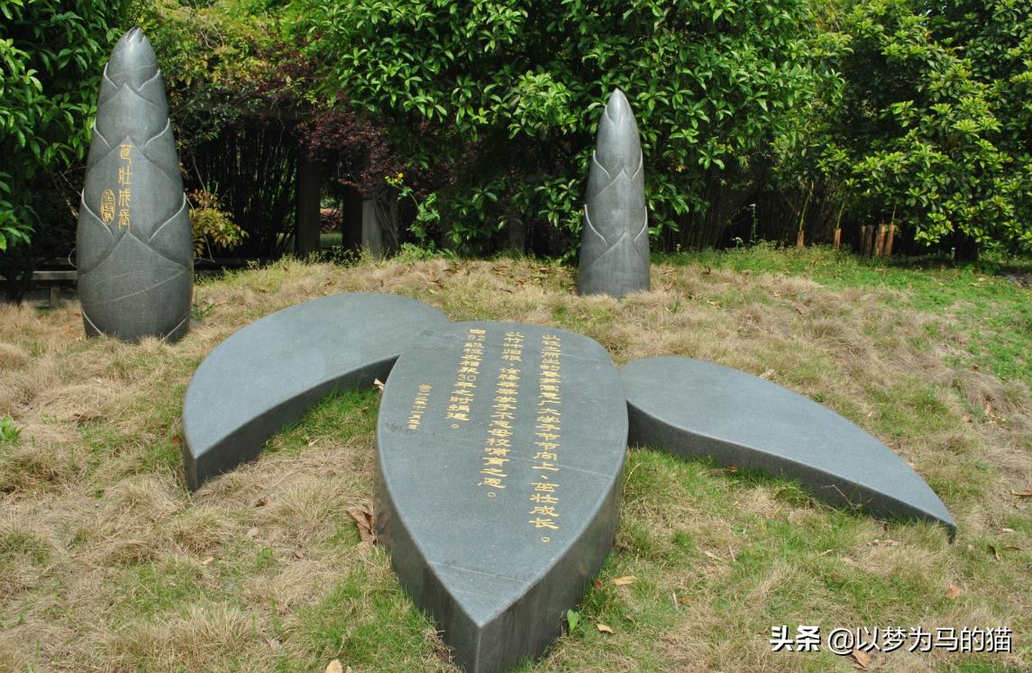 专科中认可度高的医学院校,分数最高的几所专科院校