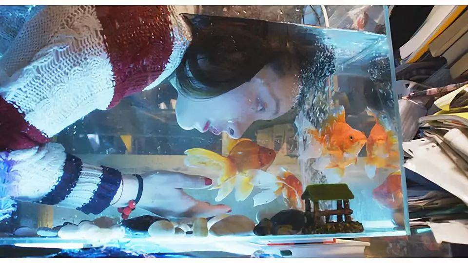 曾美慧孜到底有多厉害,曾美慧孜