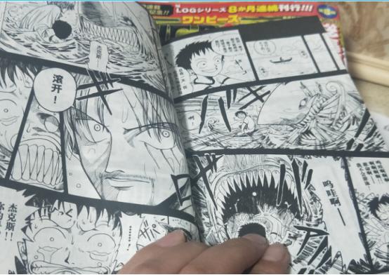 海贼王书籍选择 (海贼王书籍排名)