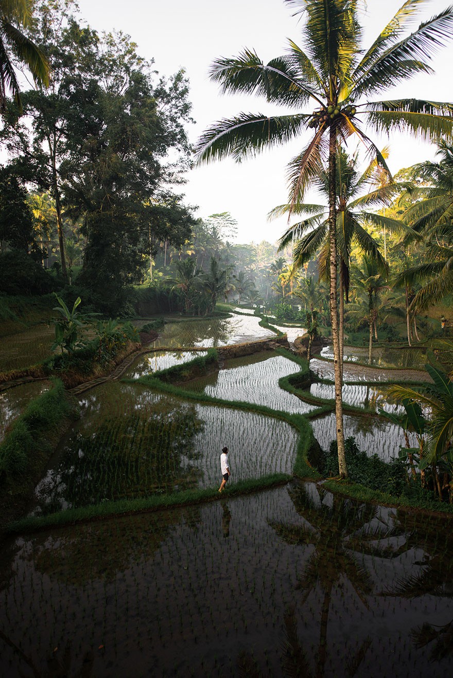 agora摄影比赛,agora摄影比赛视频