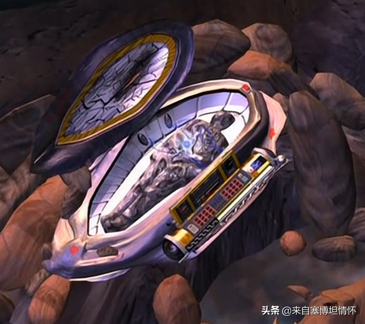 变形金刚怎么生小孩,变形金刚是怎么生小崽