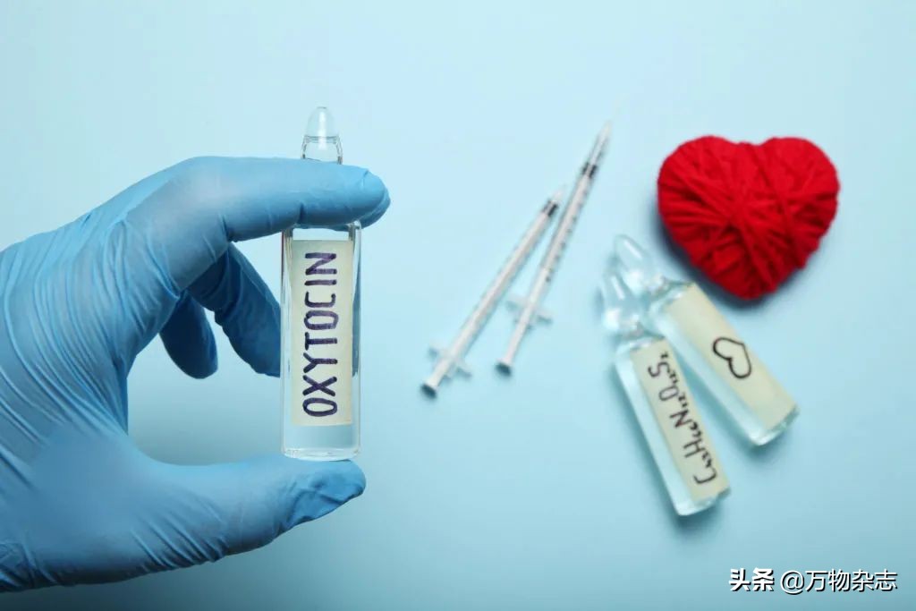 因为人类大量种植玉米，可爱的小动物吃掉了自己的孩子