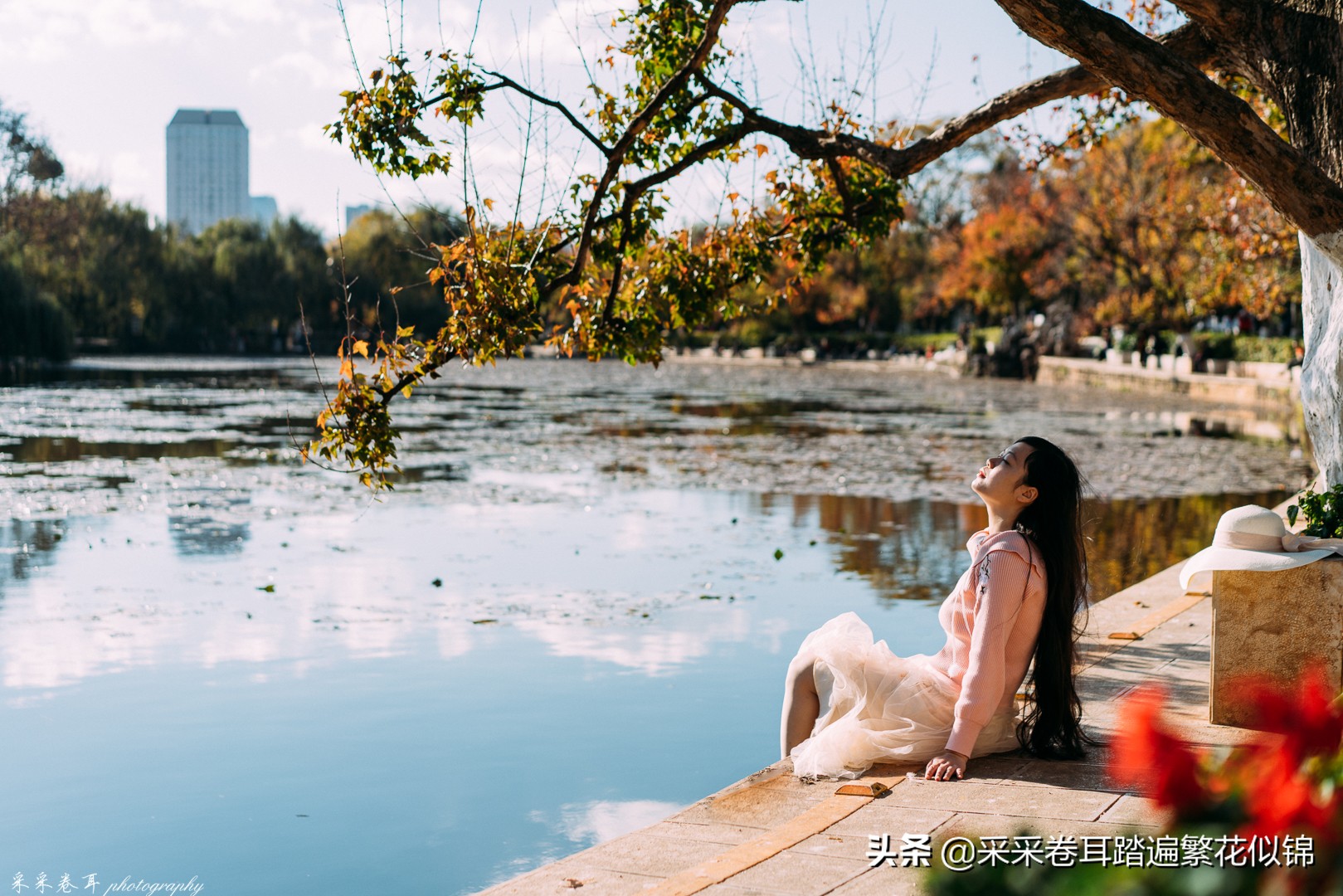 冬季到昆明来看红嘴鸥,冬天去昆明翠湖公园观看海鸥
