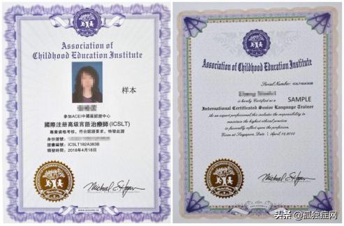 言语治疗师精英认证培训班6月4日进行