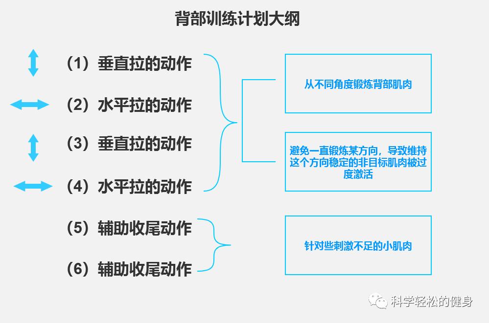 背部肌肉训练计划虐出完美的背肌,背部各个肌肉位置锻炼方法
