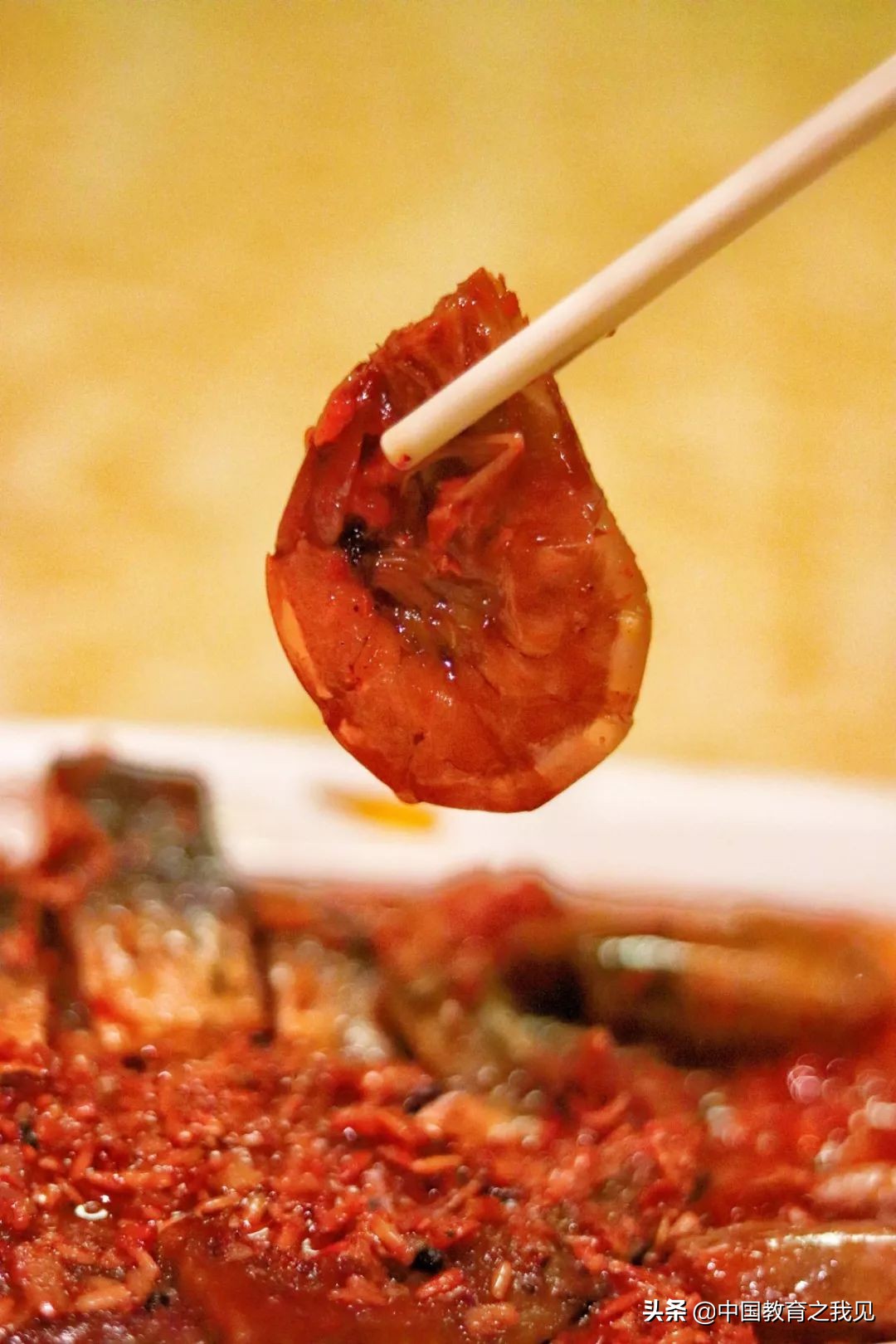 叶南渔村葡萄园,叶南渔村