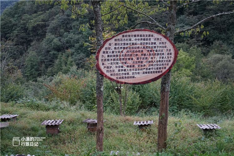 秦岭山谷中的桃花源,秦岭深处一座美丽的世外桃源