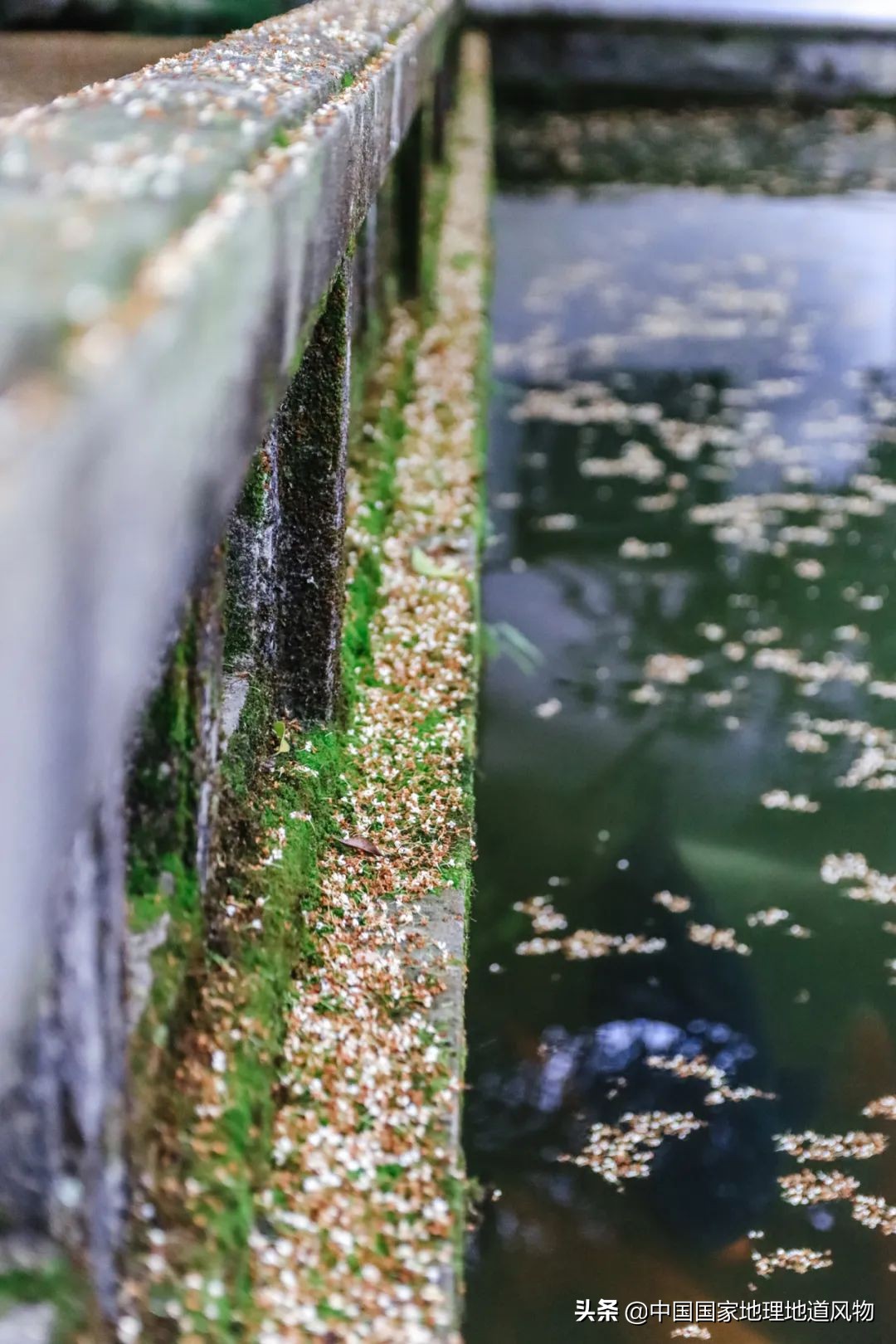 中国夏天地图全图,中国秋色地图