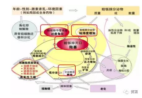 眼睛发干发涩发胀什么原因,眼睛发涩疲倦头发胀是怎么回事