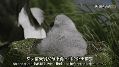 疫情在家陪娃学习新技能,在家隔离教你怎么训练孩子