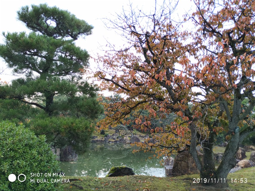 3月底日本关西8日游攻略,日本关西旅游攻略七日游