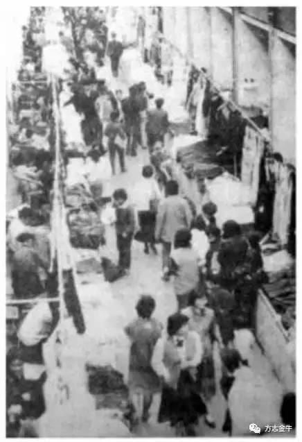 新荷花池,新发荷花池