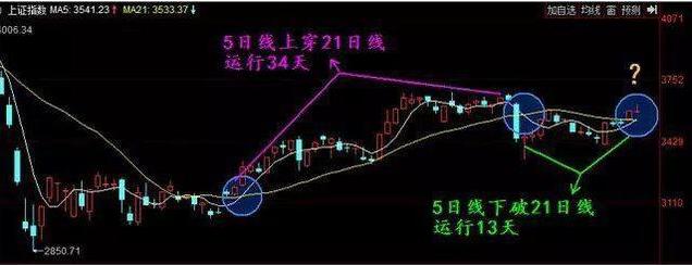 短线高手炒股养家,短线高手收益