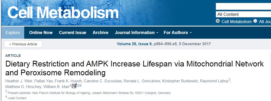 细胞饥饿疗法,细胞饥饿对细胞周期的影响